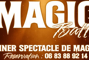 Agrandir l'image
