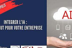 Agrandir l'image