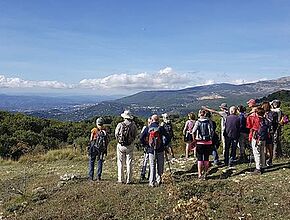 Agrandir l'image (fenêtre modale)