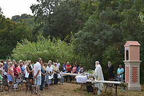 Agrandir l'image