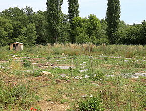 Agrandir l'image (fenêtre modale)