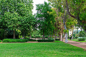 Agrandir l'image