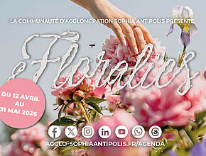 Agrandir l'image (fenêtre modale)