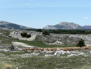 Agrandir l'image (fenêtre modale)