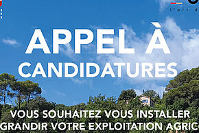 Agrandir l'image