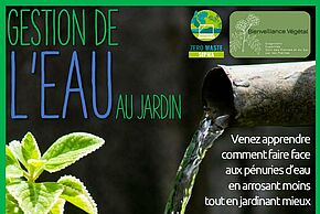 Agrandir l'image