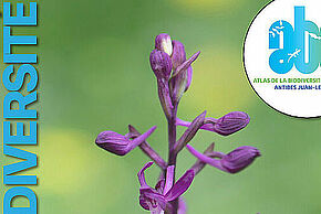 Photo d'une fleur avec l'inscription "concours photo biodiversité"