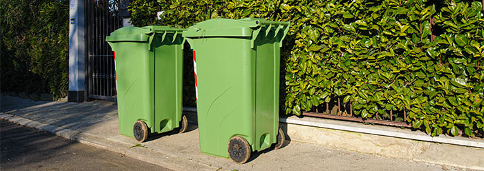 Photo de deux poubelles vertes